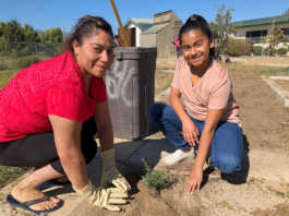 Soledad school establishes first monarch butterfly sanctuary in South County