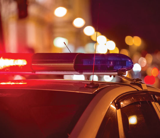 Soledad stabbing suspect deterred by victim with revolver
