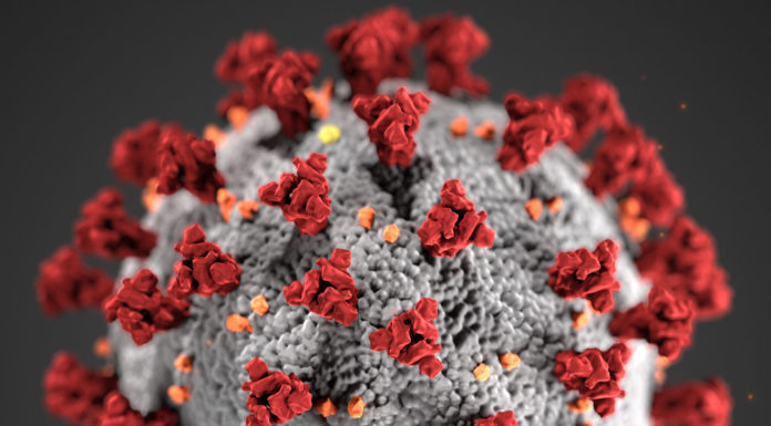 Monterey County schools extend closure until May 4 due to ongoing coronavirus pandemic Covid-19, novel coronavirus 2019