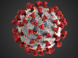 Monterey County resident dies from COVID-19 Novel Coronavirus Covid-19