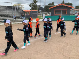 Coronavirus concerns shut down Salinas Valley sports Gonzales Little League Players