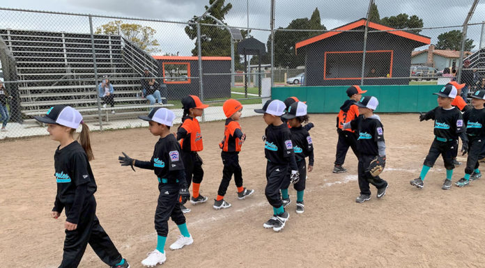 Coronavirus concerns shut down Salinas Valley sports Gonzales Little League Players