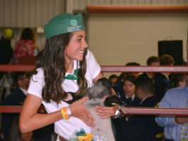 Salinas Valley Fair to host online livestock auction Saturday