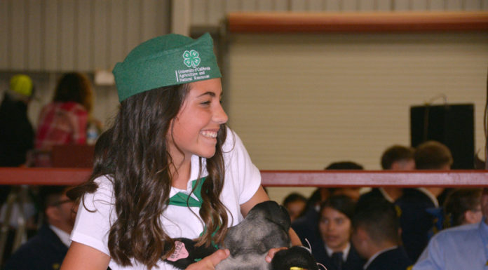 Salinas Valley Fair to host online livestock auction Saturday