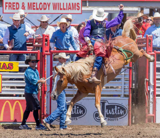 110th California Rodeo Salinas postponed to October