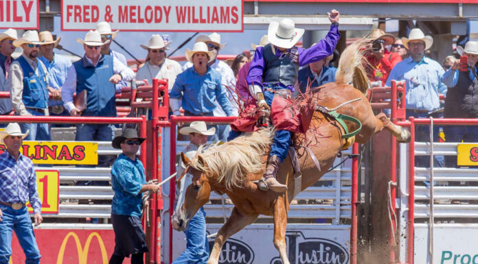 110th California Rodeo Salinas postponed to October