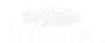 Salinas Valley Tribune