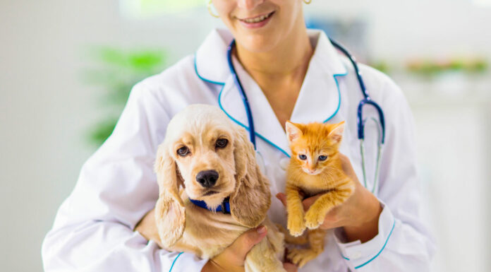 SNIP Bus helps local pets on monthly basis in South Monterey County