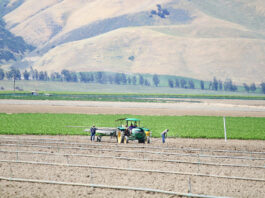 Monterey County examines impacts of Covid-19 on local agriculture industry