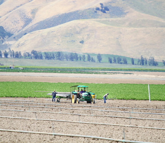 Monterey County examines impacts of Covid-19 on local agriculture industry