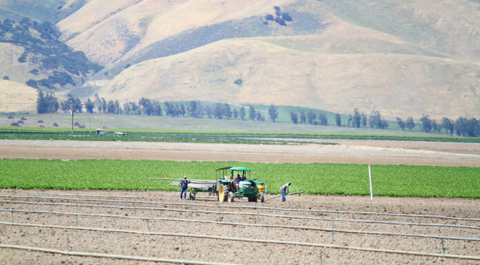 Monterey County examines impacts of Covid-19 on local agriculture industry