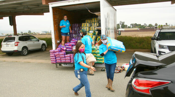 Pets receive helping hand during SPCAās pet food bank in Greenfield