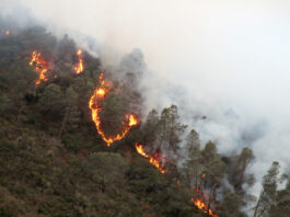 Todo lo que necesita saber sobre los incendios en los valles de Salinas y Carmel