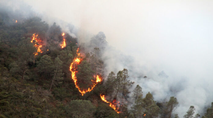 Todo lo que necesita saber sobre los incendios en los valles de Salinas y Carmel