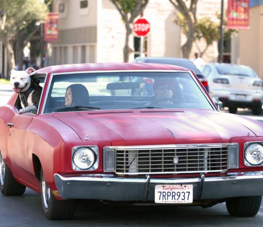 Census cruise rolls through Salinas Valley towns