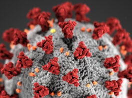 California issues month-long curfew for ‘purple tier’ counties Covid-19, novel coronavirus 2019