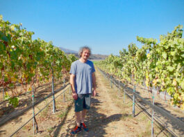 Covid-19, wildfires present challenges for Salinas Valley winery