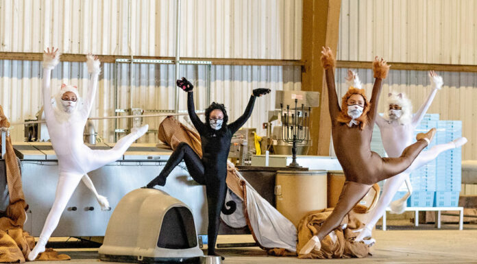 Monterey County Dance Foundation presents virtual performance and fundraiser Friday