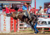 111th California Rodeo Salinas postponed until September