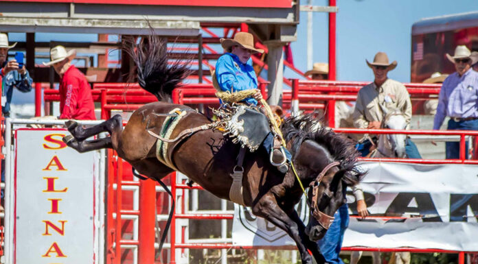 111th California Rodeo Salinas postponed until September