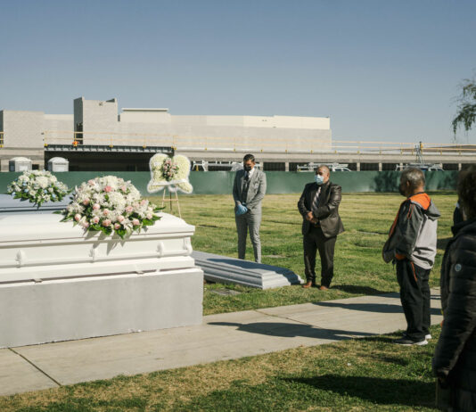 California surpasses New York in coronavirus deaths