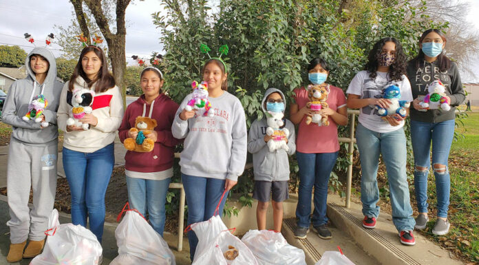 King City Blue Ribbon 4-H members decorate stuffed animals for Greenfield seniors