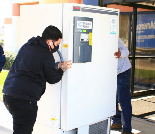 Monterey Bay Aquarium loans freezer to help Mee Memorial fight coronavirus