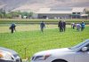 Monterey County plans for return of migrant farmworkers