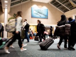 Vaccines and travel: What you need to know