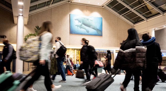 Vaccines and travel: What you need to know