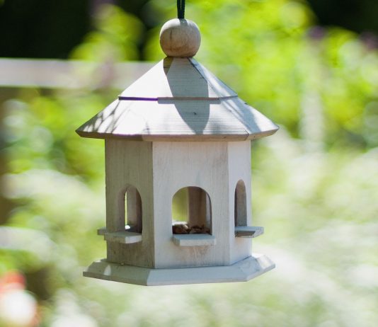 Monterey County wildlife officials urge temporary removal of bird feeders