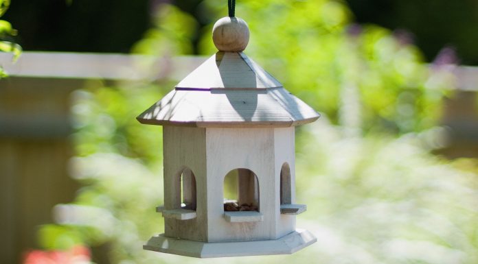 Monterey County wildlife officials urge temporary removal of bird feeders