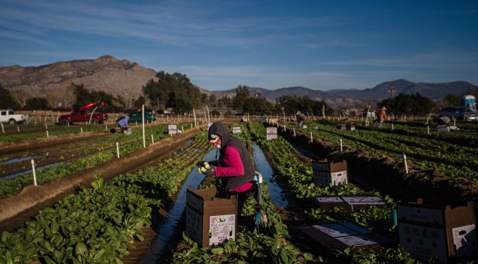 House votes to give millions of ‘Dreamers’ and farmworkers a path to citizenship