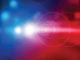 Police Reports | Published March 17, 2021