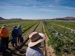 Clash between union campaigns and private property at Supreme Court