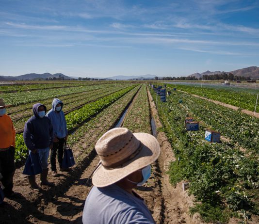 Clash between union campaigns and private property at Supreme Court