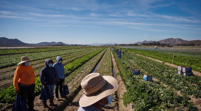 Clash between union campaigns and private property at Supreme Court