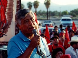 Who will fulfill the vision of Cesar Chavez?
