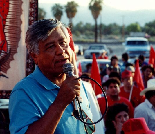 Who will fulfill the vision of Cesar Chavez?