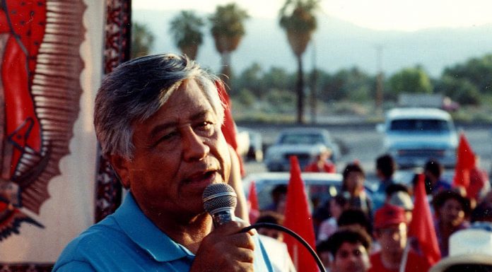 Who will fulfill the vision of Cesar Chavez?