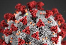 El nuevo programa tiene como objetivo ampliar el acceso a los recursos de Covid-19 Covid-19, novel coronavirus 2019