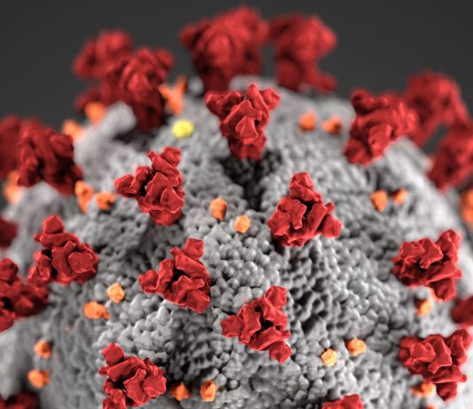 Concerns rise as Monterey County reports 24 Covid-19 deaths in past week Covid-19, novel coronavirus 2019