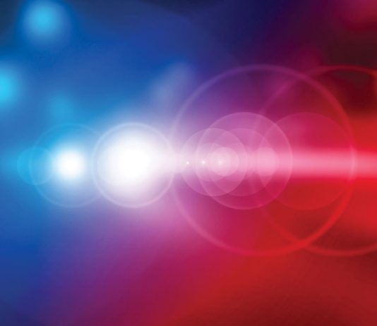 Salinas Valley Police Reports | Published April 7, 2021