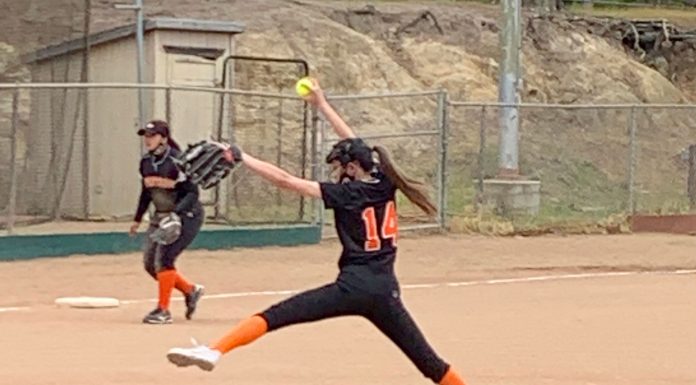 Softball | South Monterey County teams hit the diamond