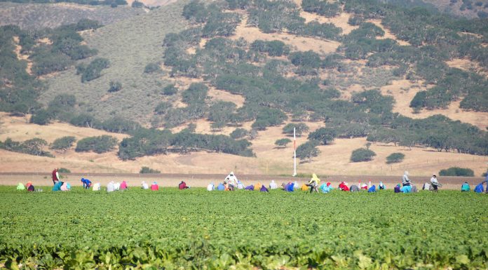 Salinas Valley Ag Tech Summit promotes importance of workforce education
