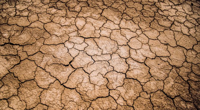 Whereās the water? Drought threatens Californiaās lifeline