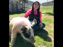 Youth ready for Salinas Valley Fairās online livestock auction