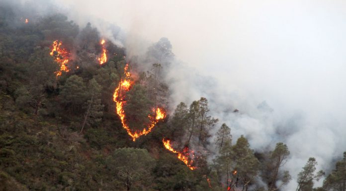 Monterey County officials predict fierce fire season this year