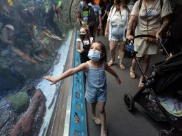 Why California is still in a state of emergency