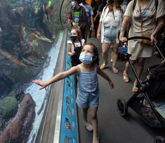 Why California is still in a state of emergency